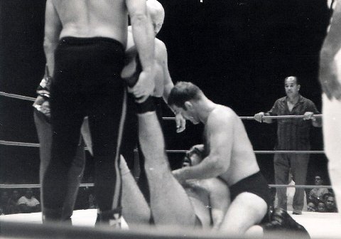 Alaskan being carried from the ring