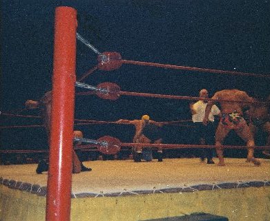 Lord Blears restores order in the ring