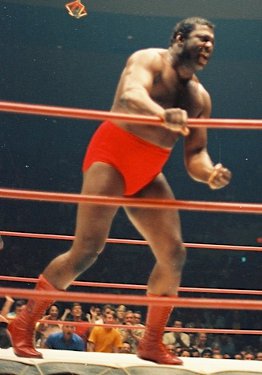 The Sheik